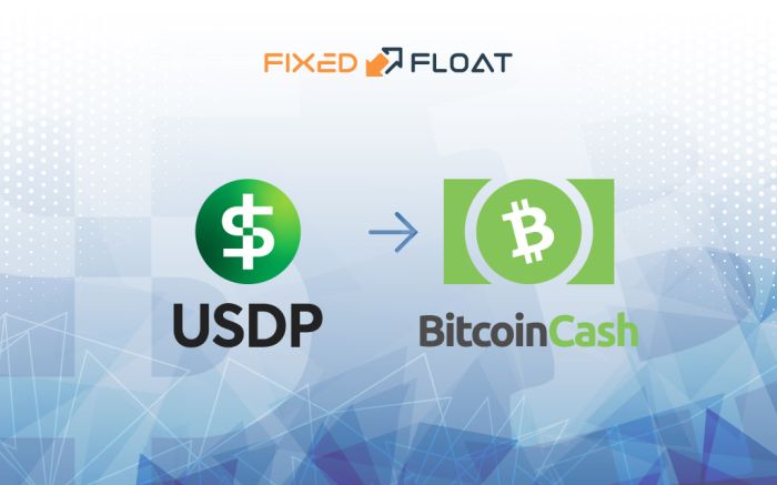 Exchange USDP to Bitcoin Cash
